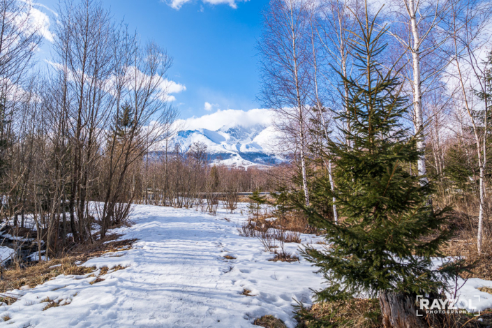 Vysoké Tatry v zime